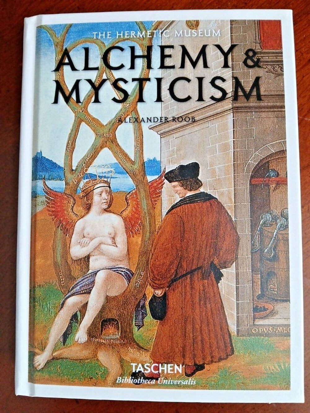 Alchemy & Mysticism HC Book Alexander Roob Taschen Hermetic Museum New 2025